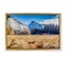 Stupell Industries Coyote in Mountain Prairie Floating Frame, design by Jeff Poe Photography